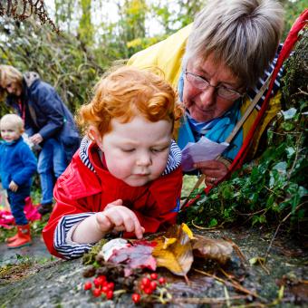 Toddler and grandparent looking at leaves close up